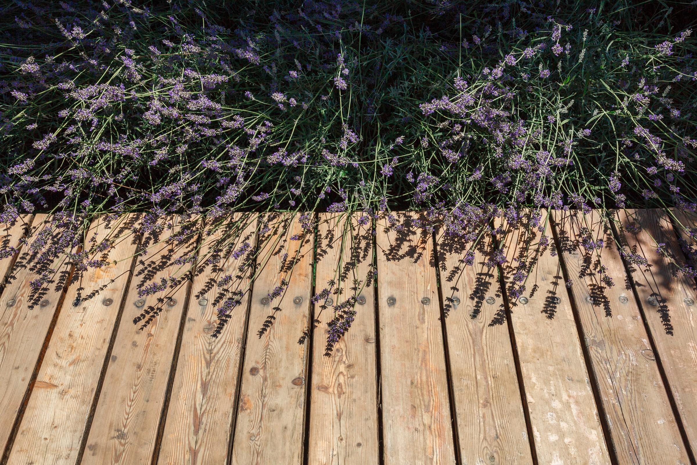 Бассейн.Территория.Частный дом.