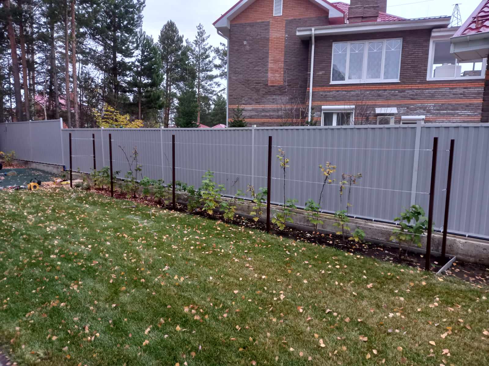 Серебрянный бор - 2