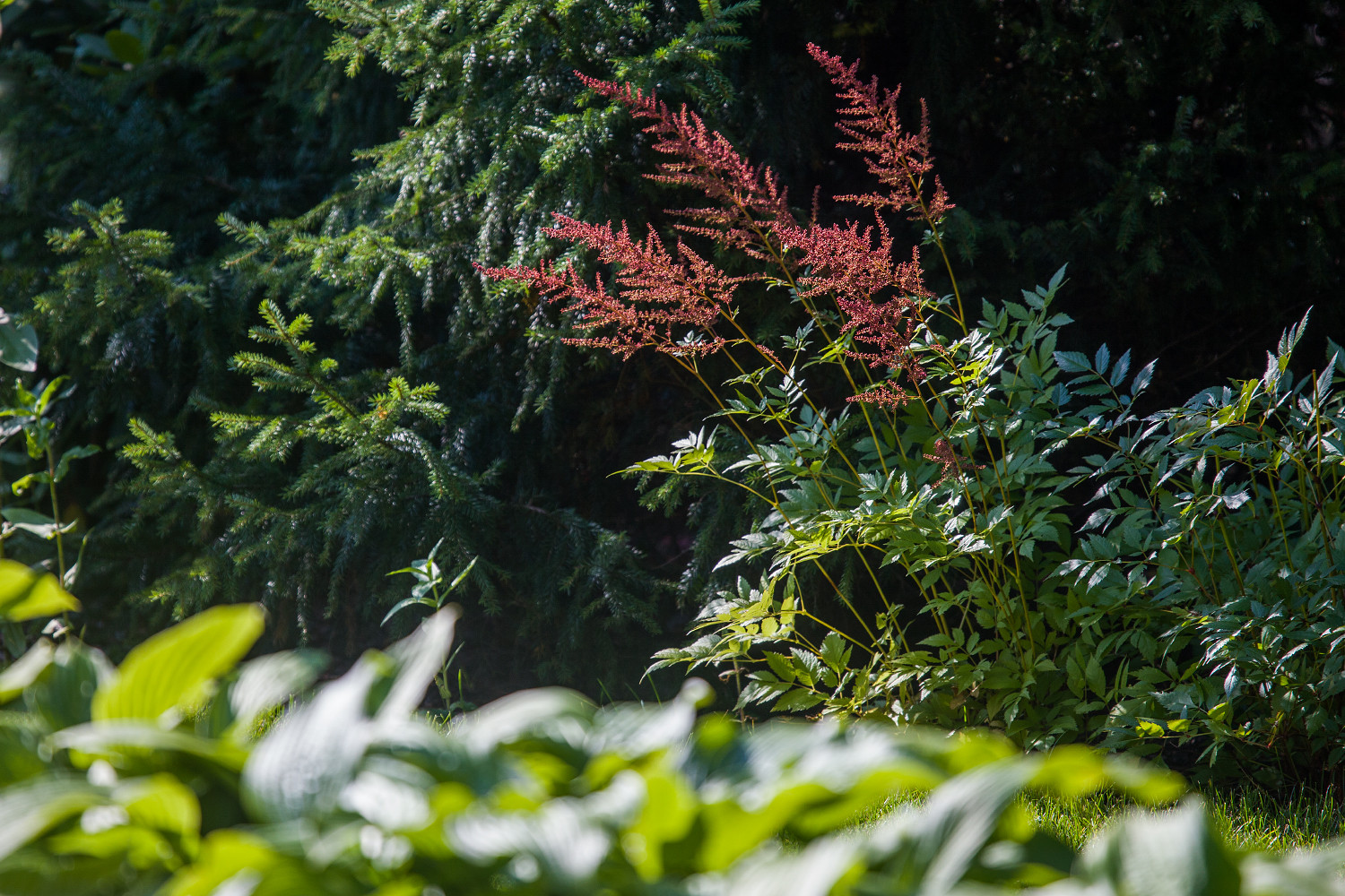 Обложка альбома: Мои идеи