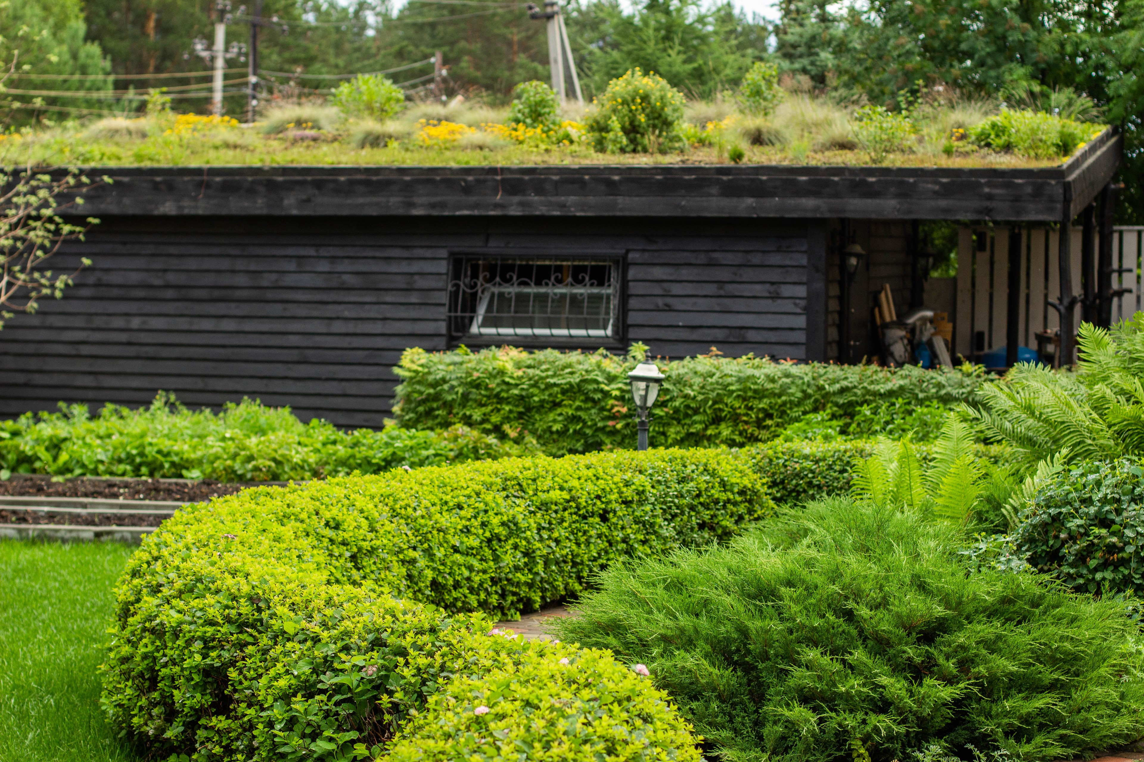Как правильно: Отвести лишнюю воду с участка
