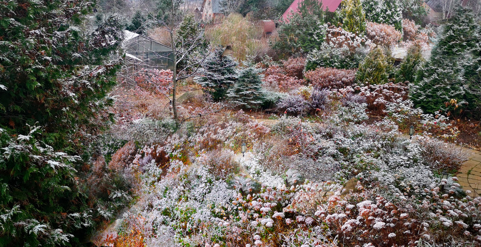 Обложка проекта: Ландшафтный дизайн участка с САДОМ ГОРТЕНЗИЙ