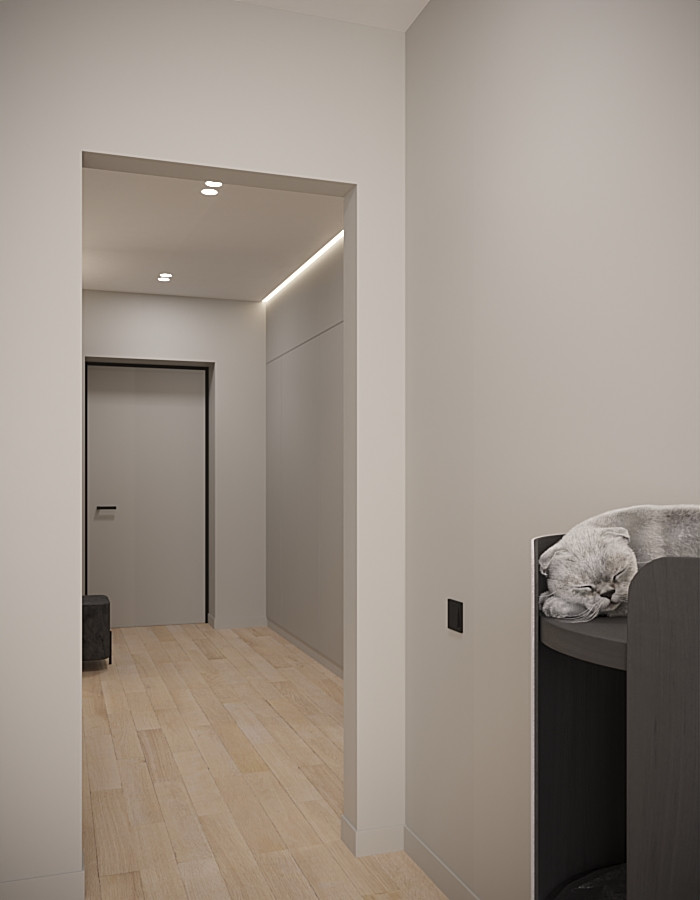 Проект квартиры минимализм