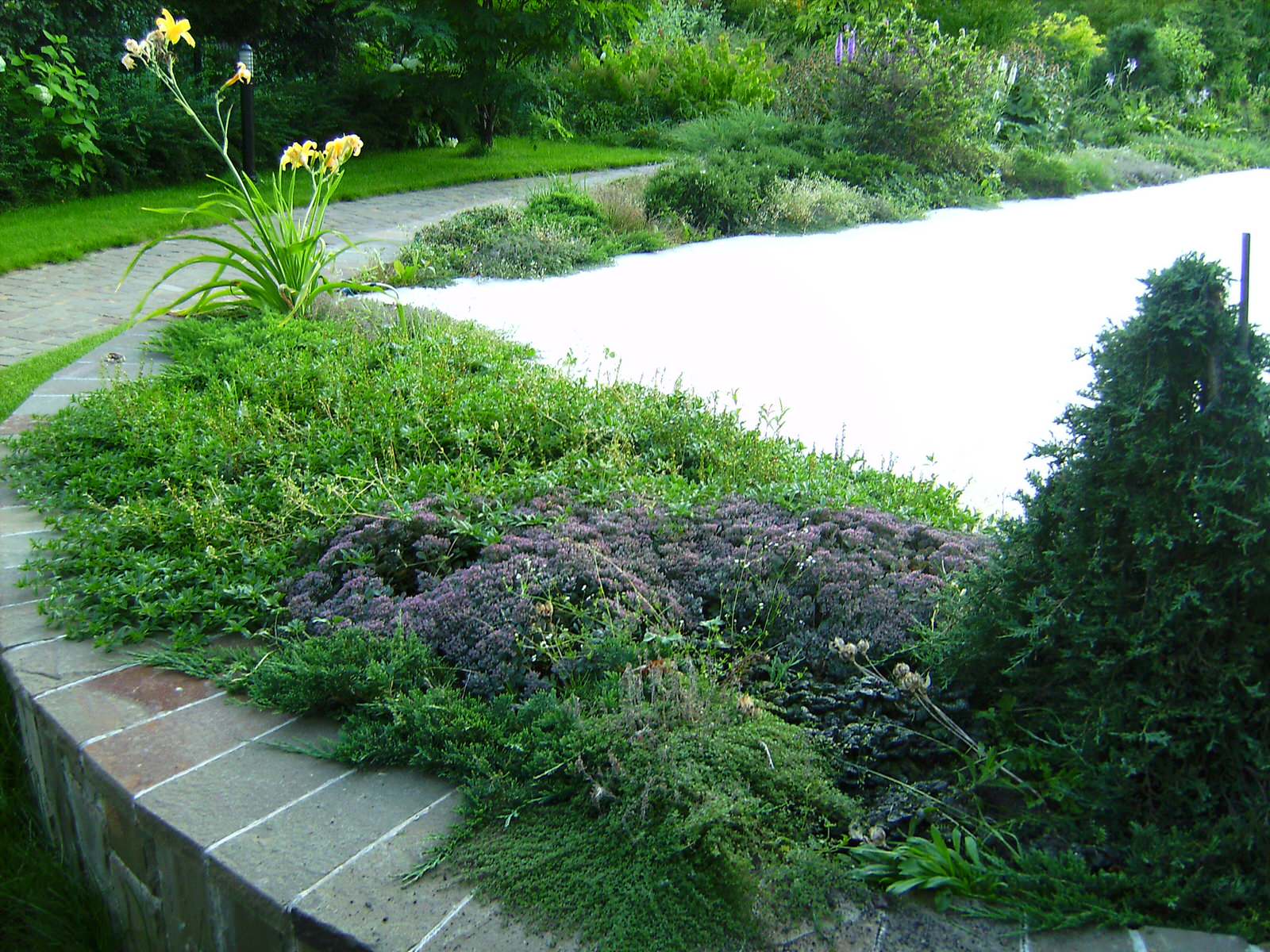 Растительная Композиция  на подпорной стене вокруг террасы дома.