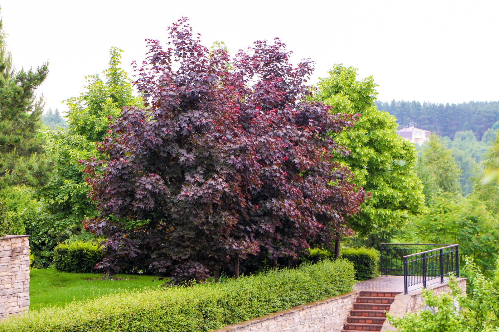 Лобаново, 2012-2021 гг.