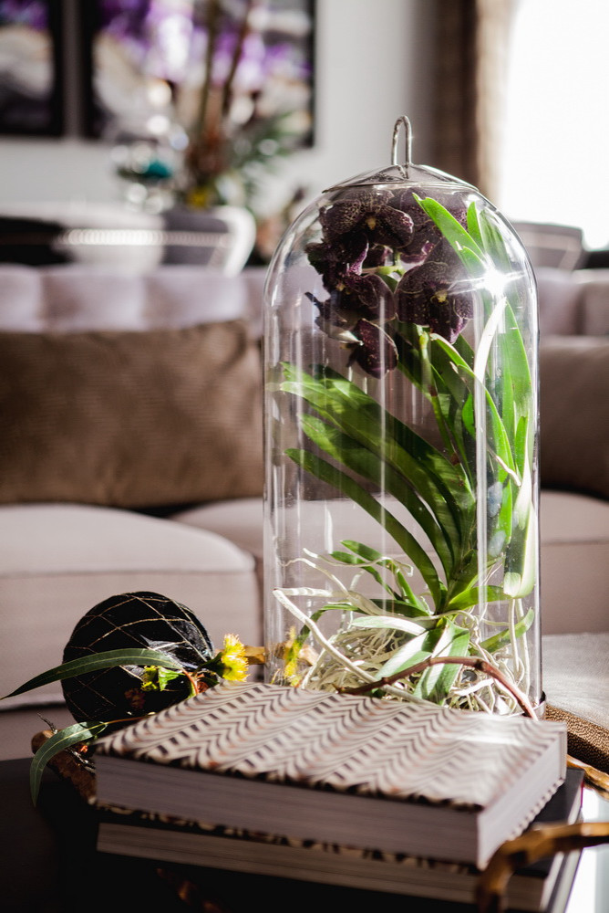 Скромное обаяние буржуа \\ гостиная-кухня