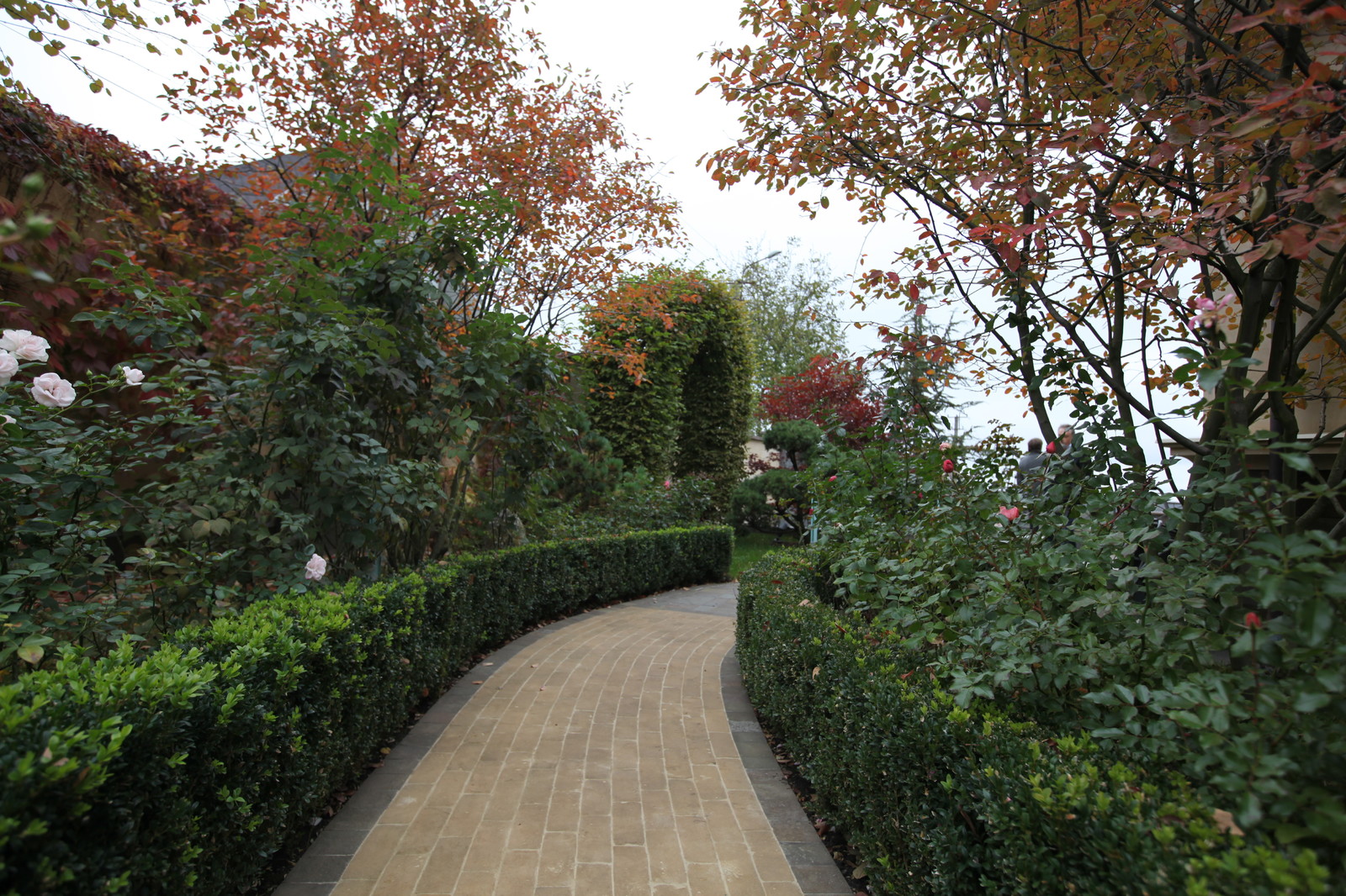 Итальянский сад с пиньями в городе