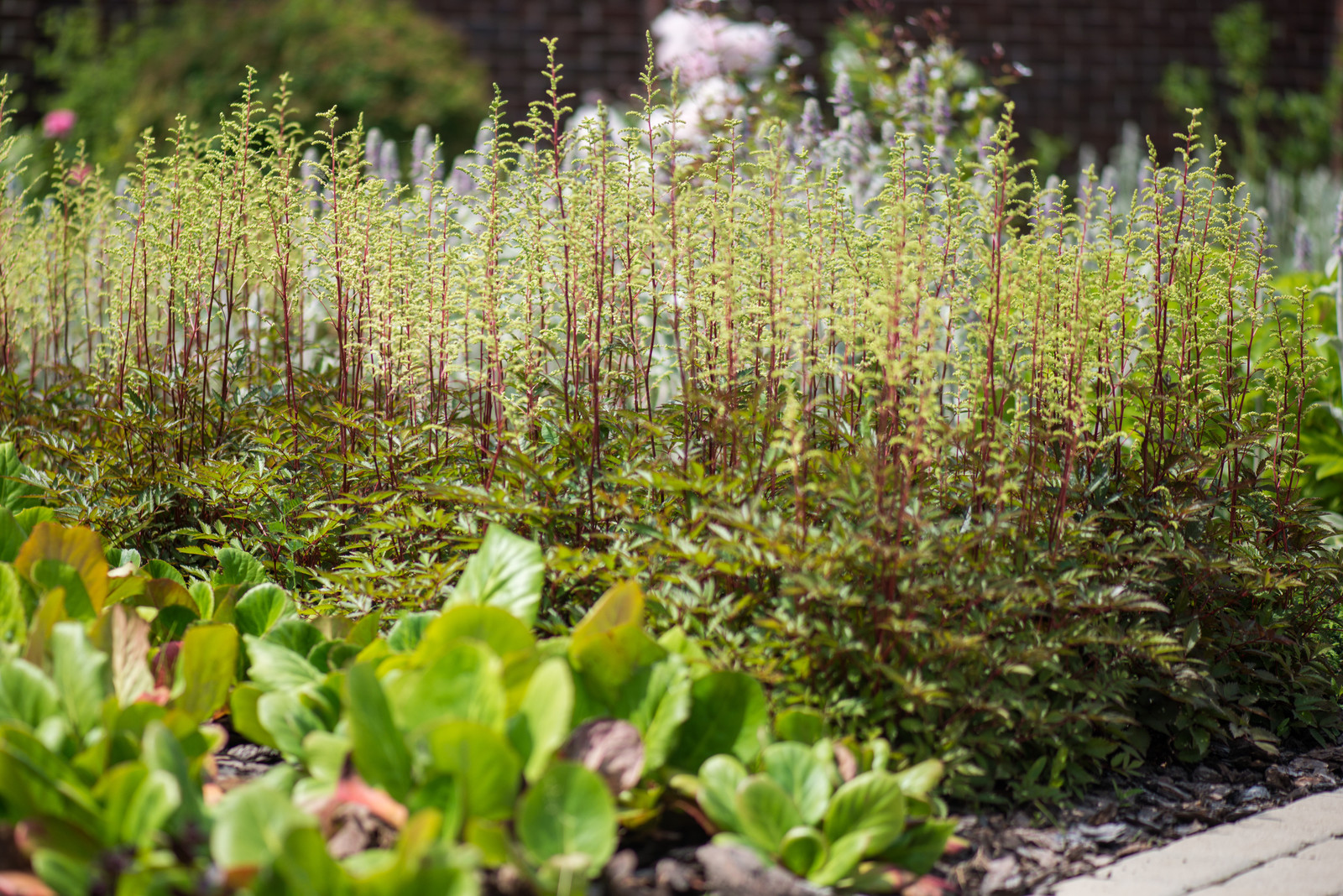 Сад "Витражи". Серебряная медаль конкурса "Ландшафтная осень-2016"