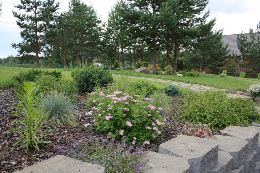 Новое Токсово 1