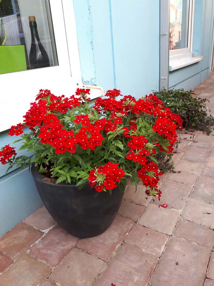 Контейнерное озеленение