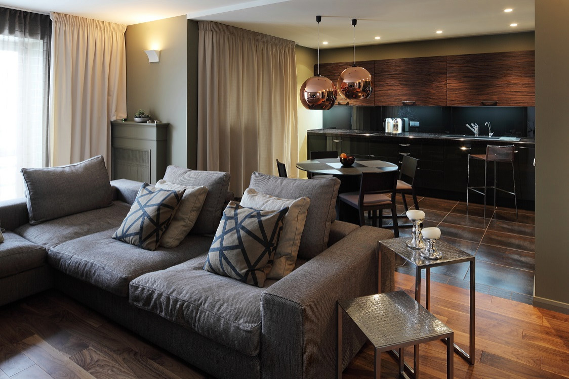 Кухня, совмещенная с залом