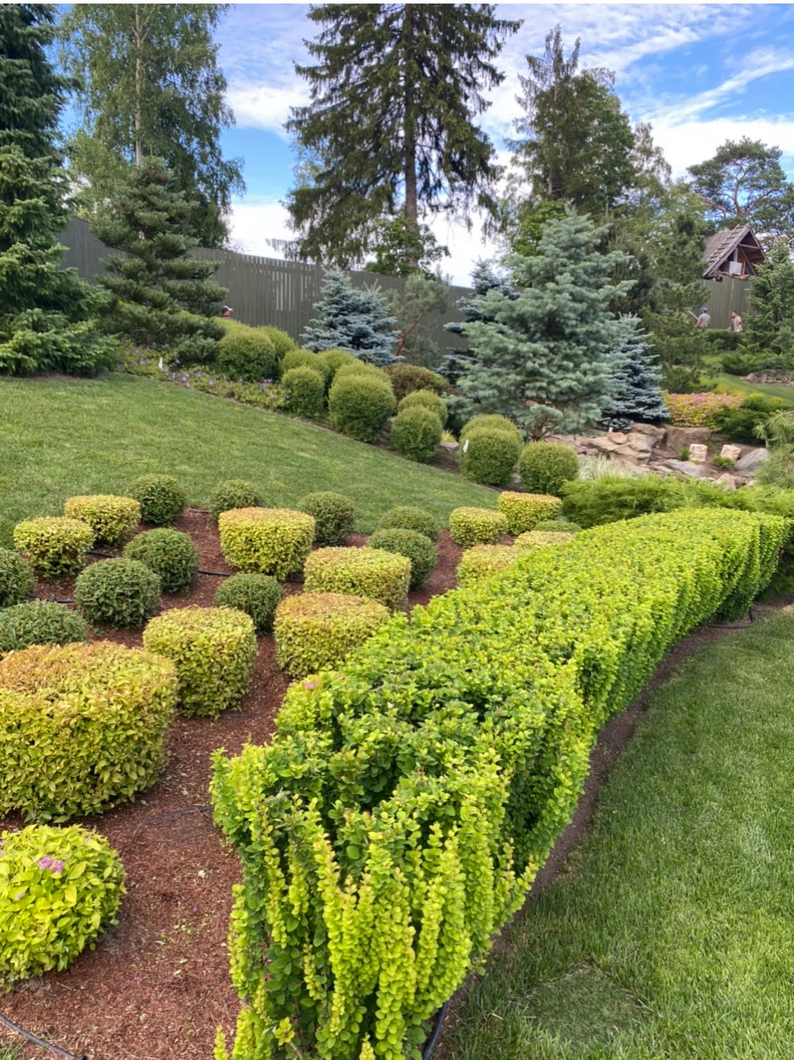 Курортный район Лен. область