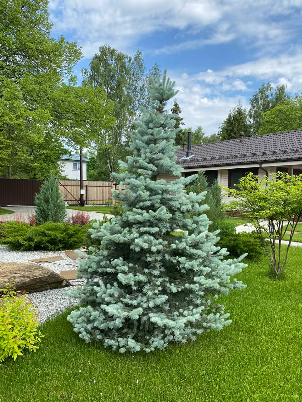 Проект недели: Трёхлетний альпийский сад в Подмосковье