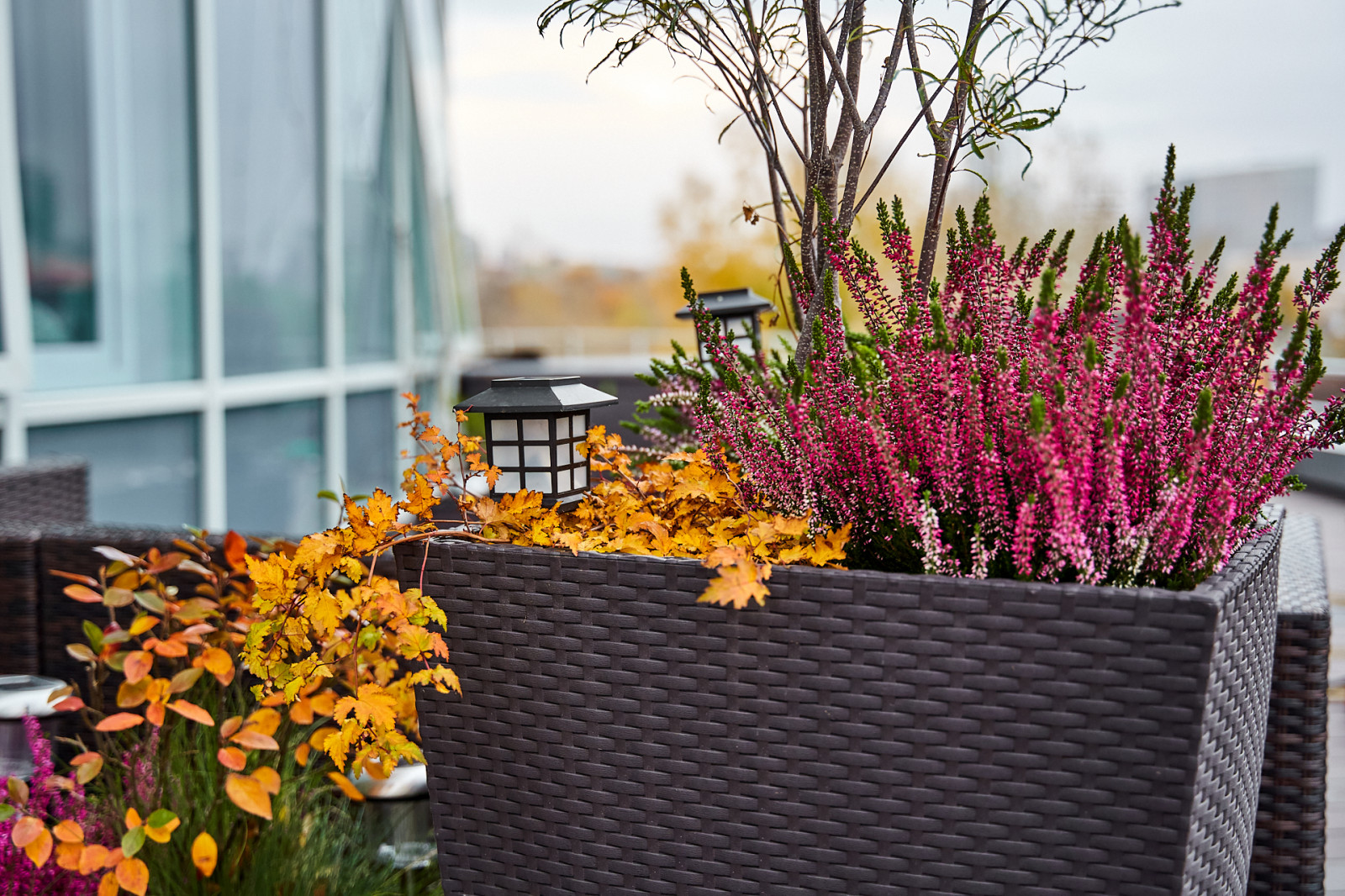 Озеленение террас