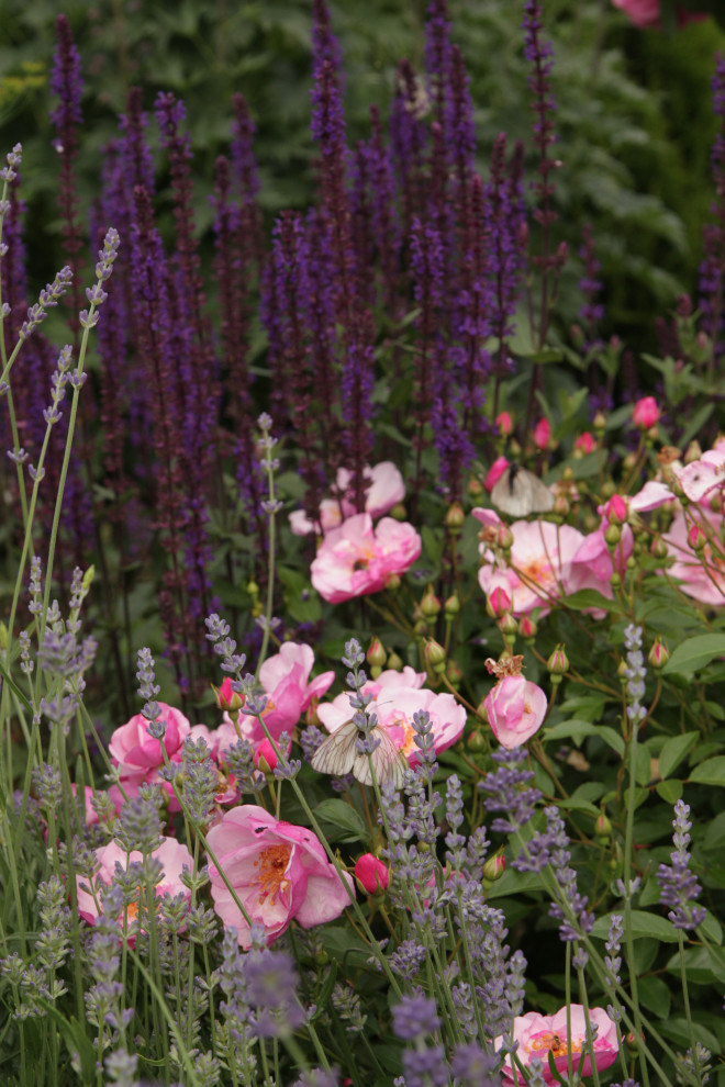 Сад на песках