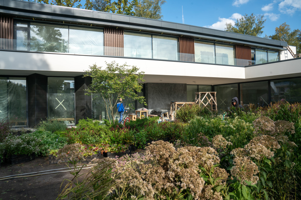 Антоновка. 30 соток. 2023 г.