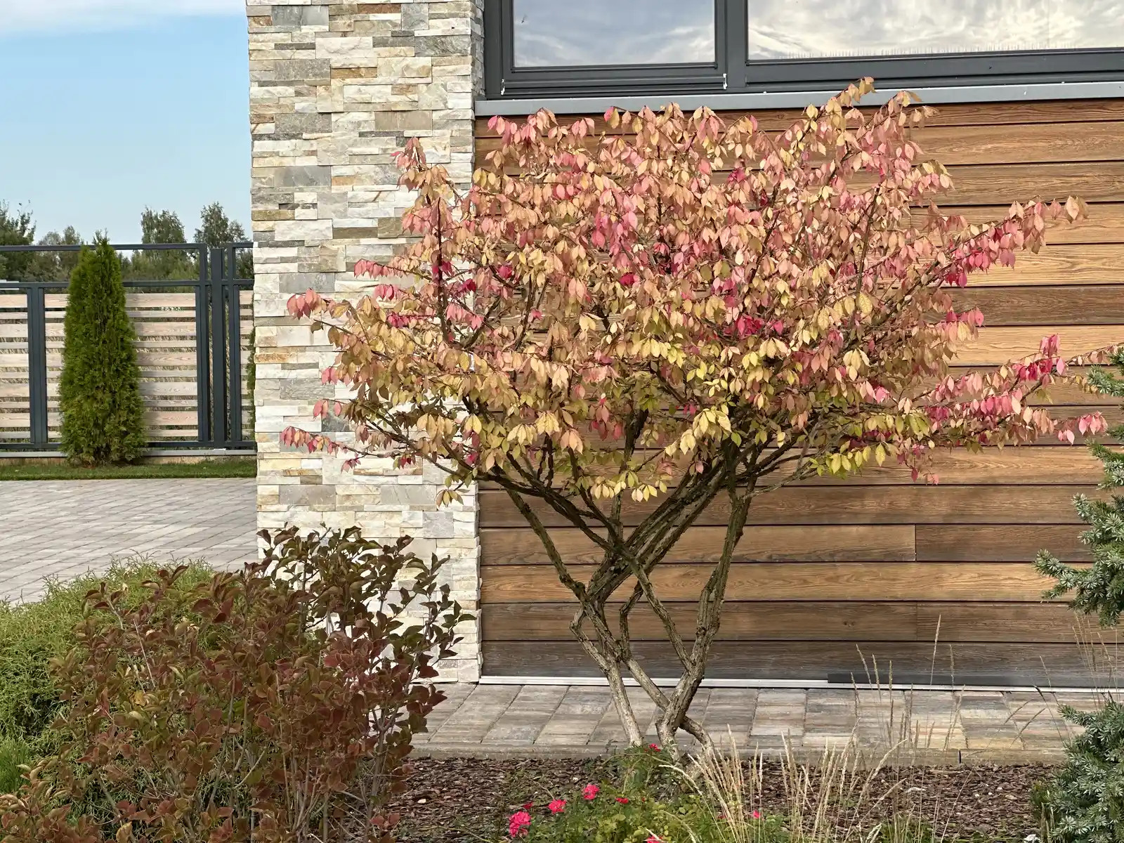 «НА ЗАПОВЕДНЫХ БЕРЕГАХ»