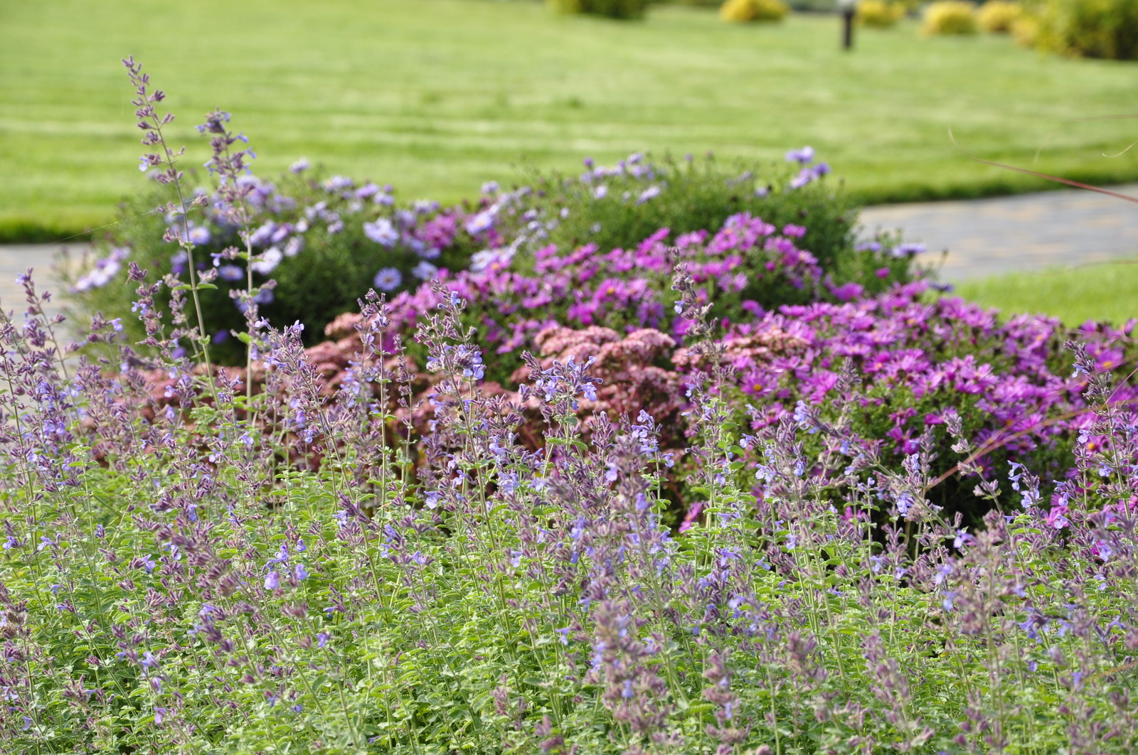 кп "Папушево" - Профессиональный уход за садом - 100% качество!