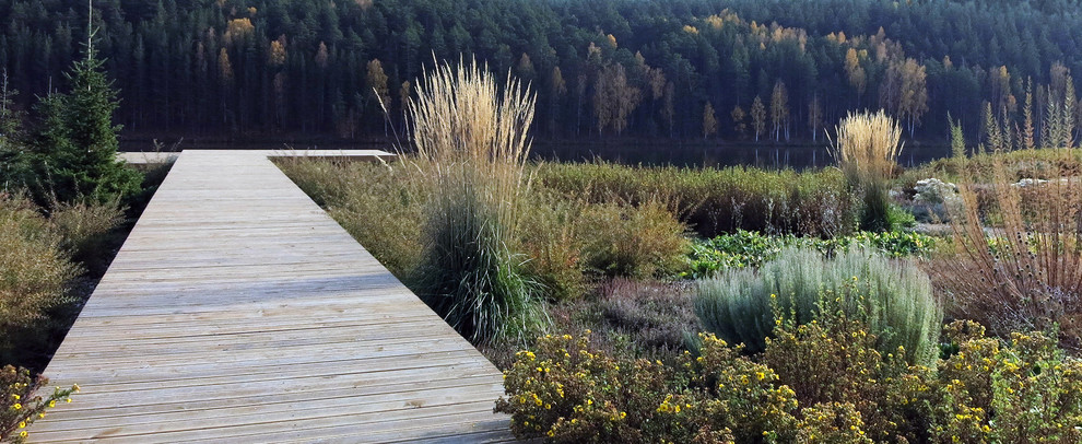 Полынный берег