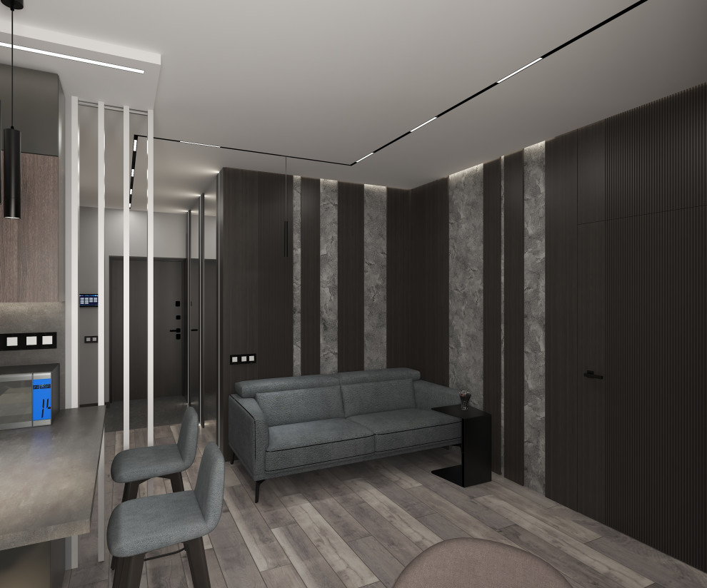 Обложка проекта: Дизайн-проект однокомнатной квартиры