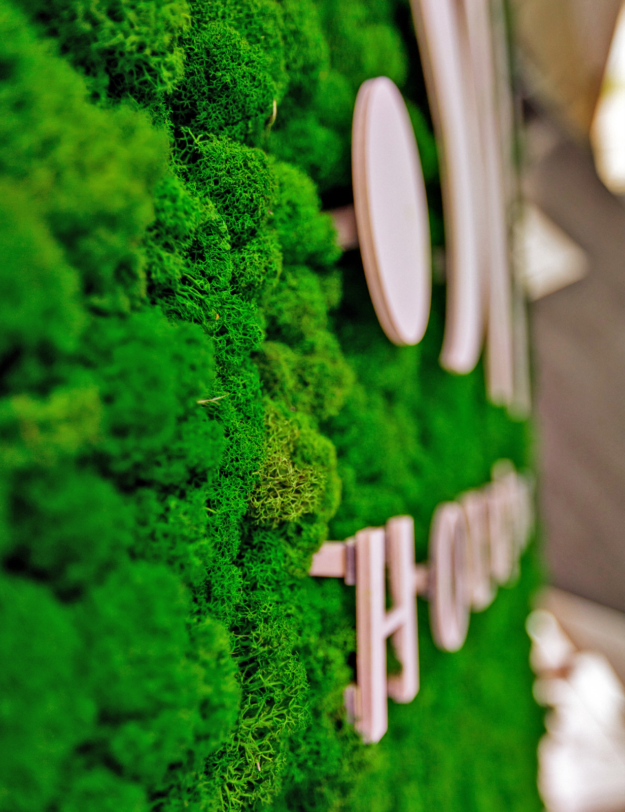 Интерьер входной группы салона красоты SW HOLDING в Эко-стиле