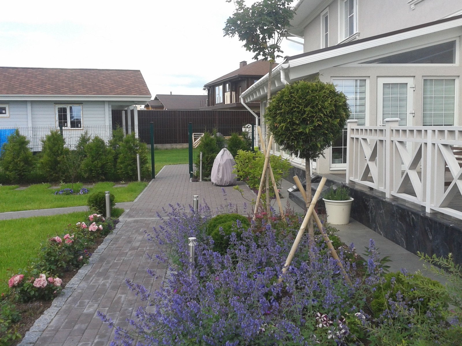 Маленький сад в Колтушах