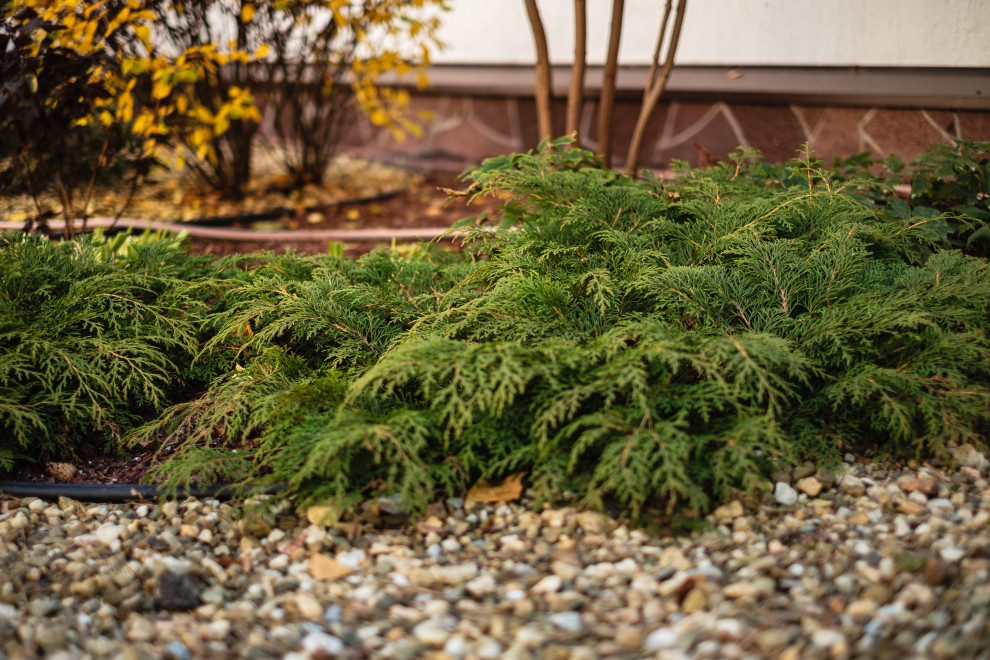 У леса на опушке