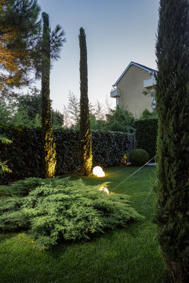 Розмарин. Ландшафтный Дизайн