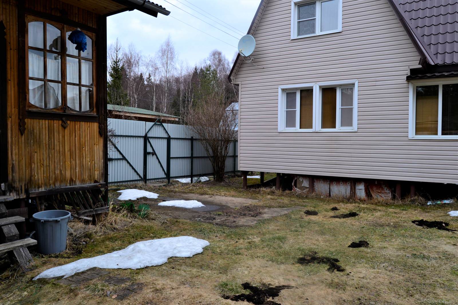 На поляне в лесу