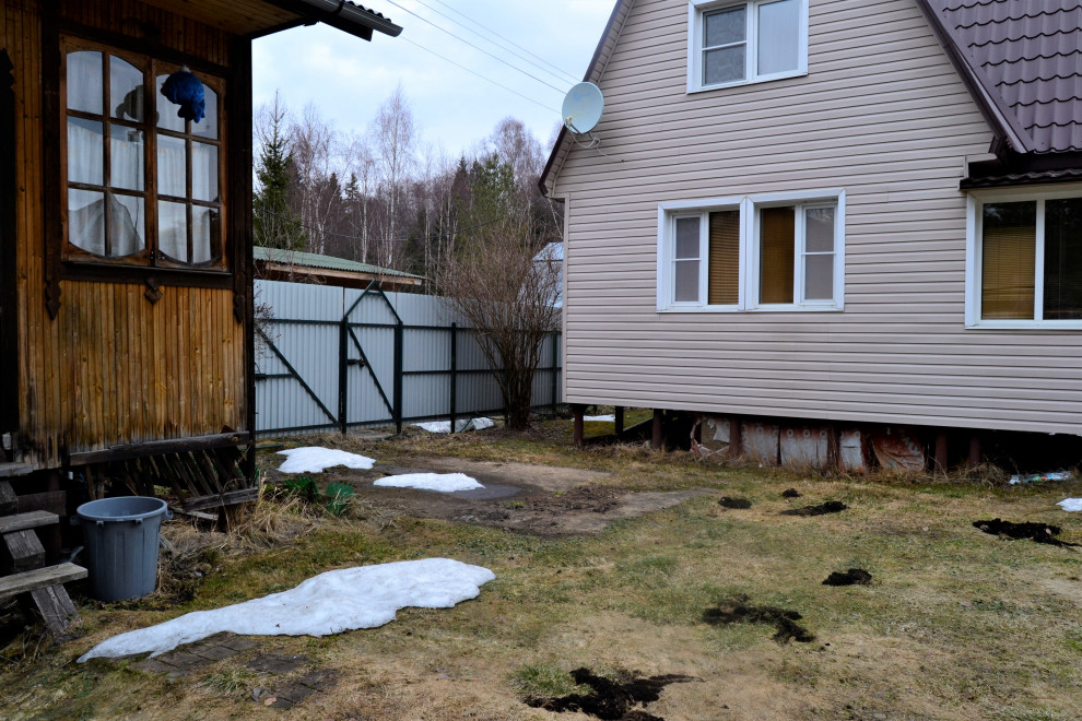 Обложка проекта: На поляне в лесу