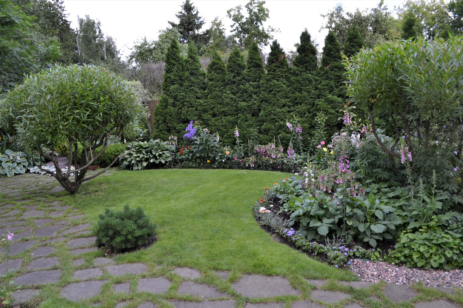 Клуб владельцев частных садов "Цветущая Планета". Сад в лесу и теневые цветники.