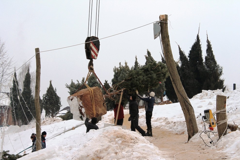 Крупномеры. Летом и зимой