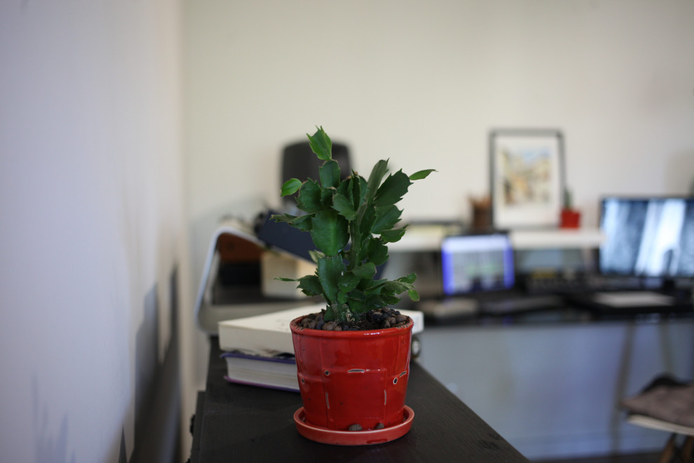 Сканди в хрущёвке