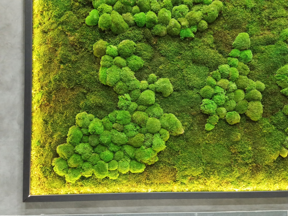 Тюмень. Комарово