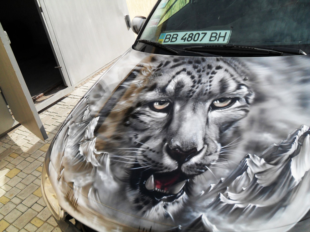 Аэрография на авто.