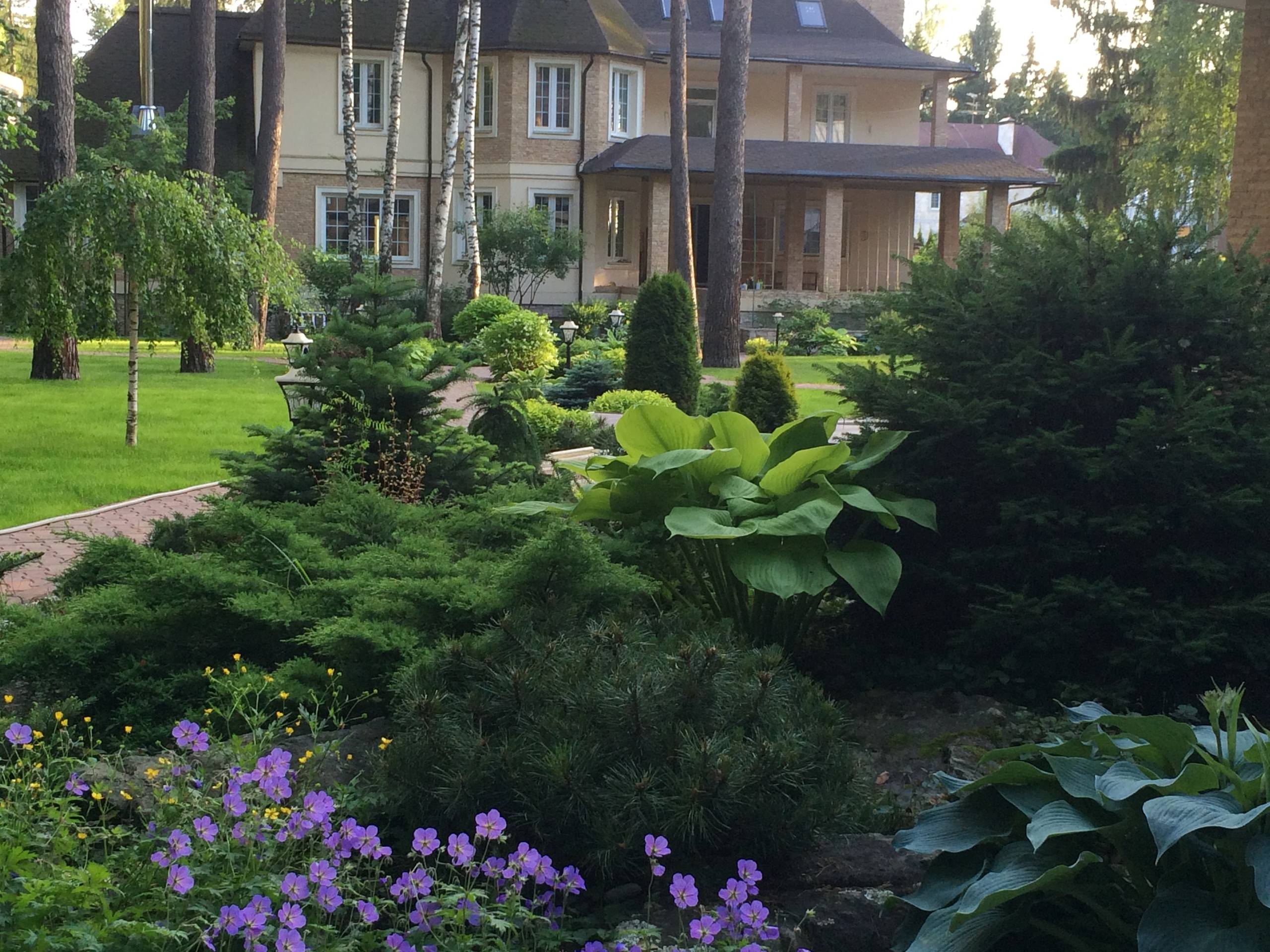 Уходим в тень: Теневыносливые растения для сада