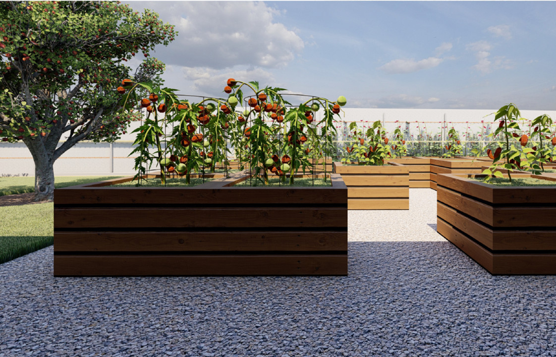 Проект сада Новое начало