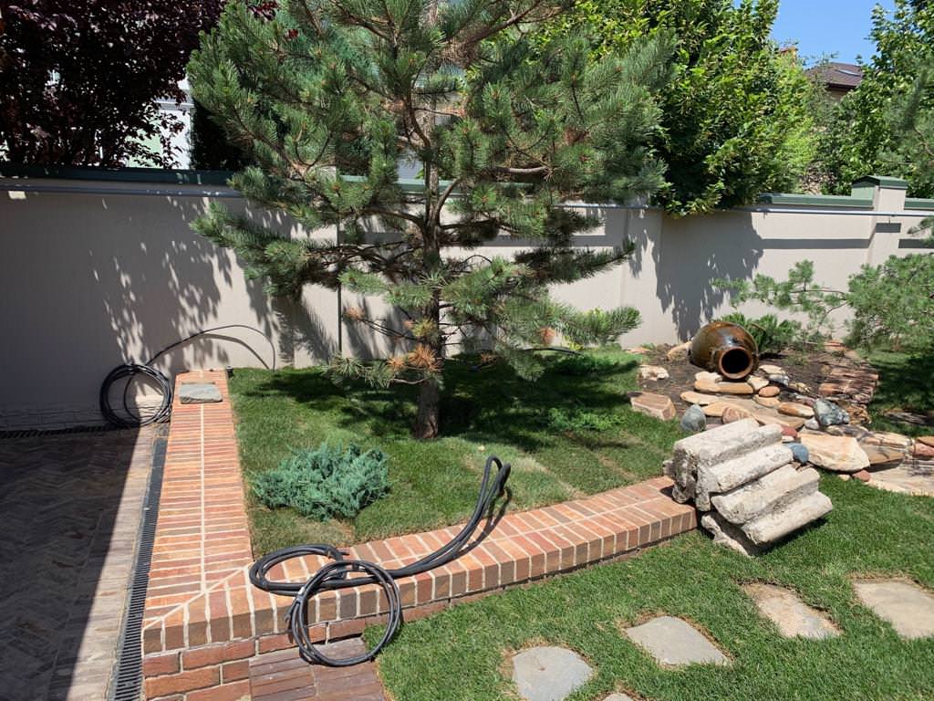 Ландшафт участка г. Ростов-на-Дону