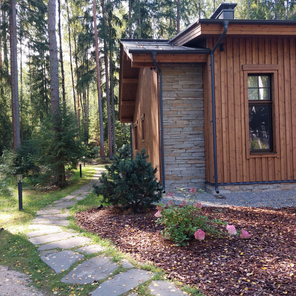 Гармония леса