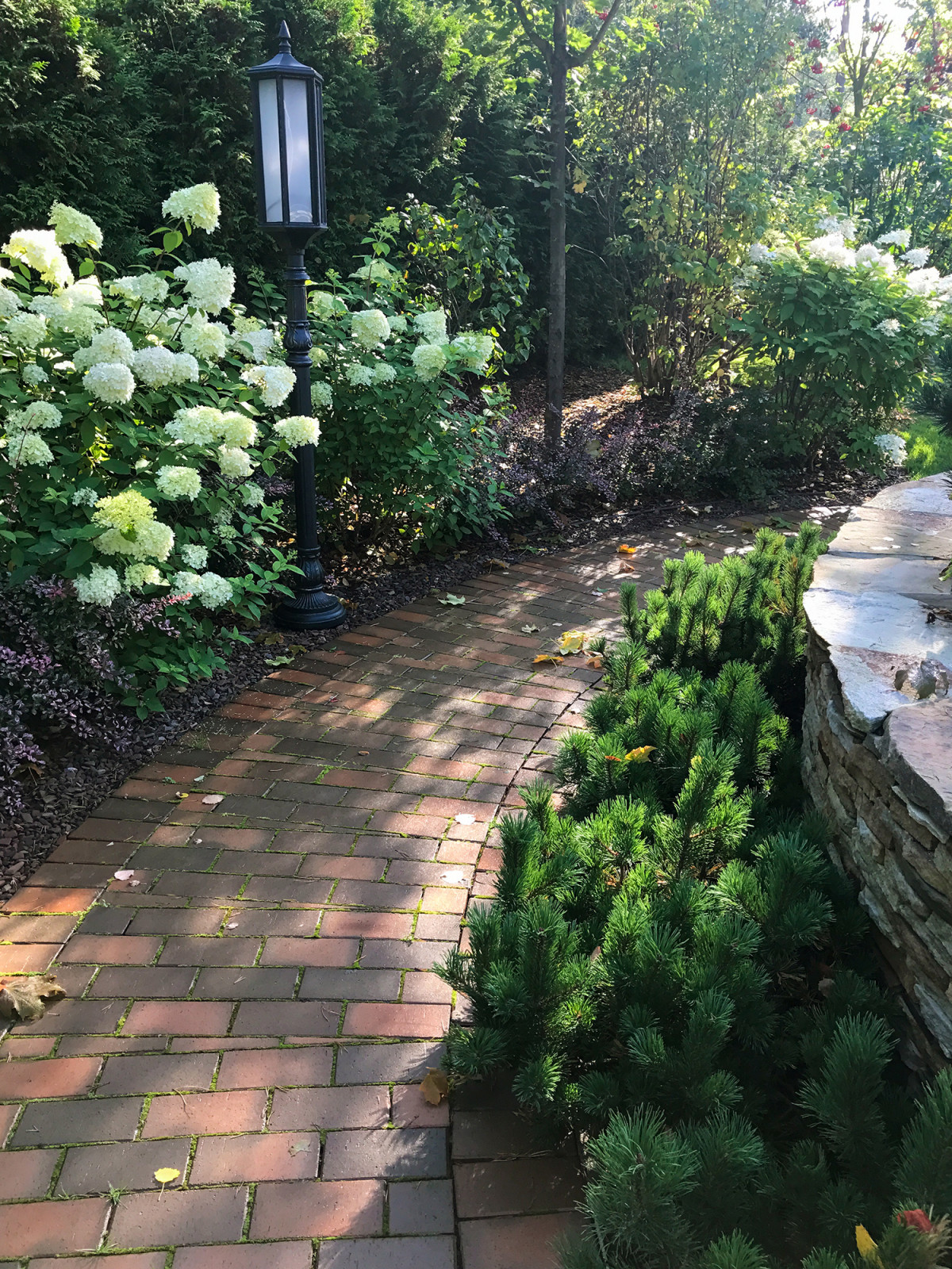 Обложка альбома: Алиса Сподарец