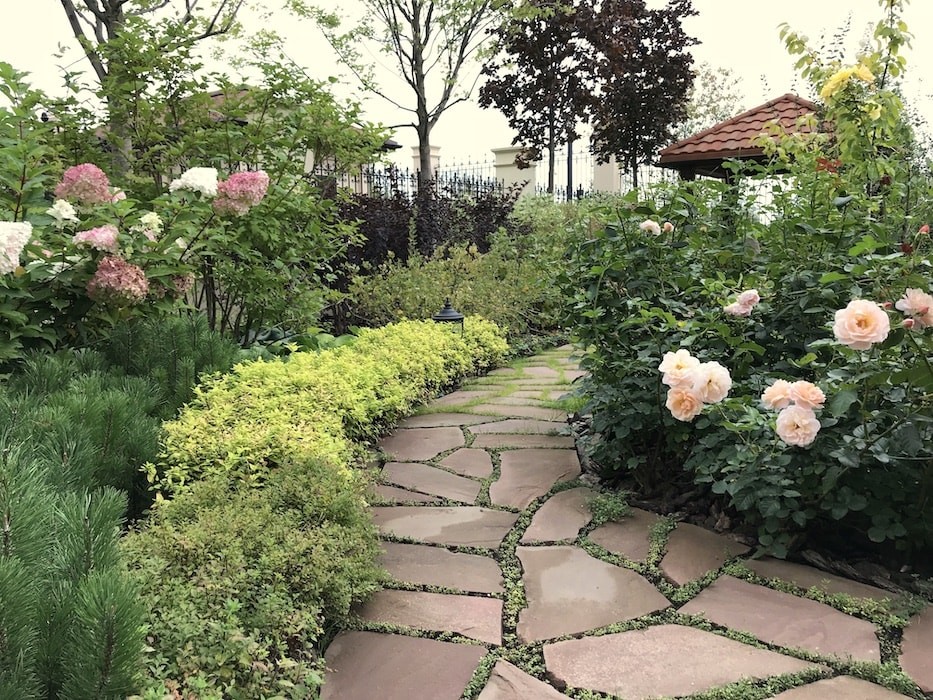 Ильинское шоссе. 12 соток.