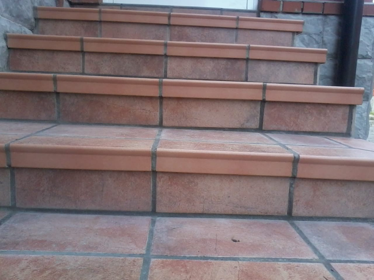 Мой проект_1