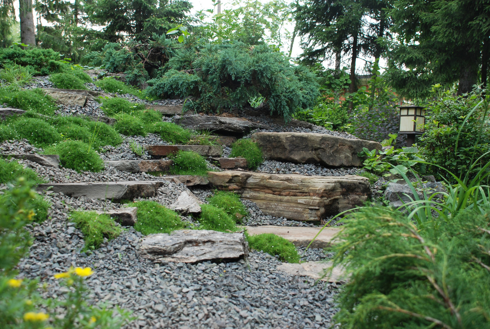 Успенское шоссе РИИТА