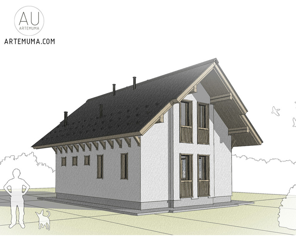 Дом в Подмосковье (3)