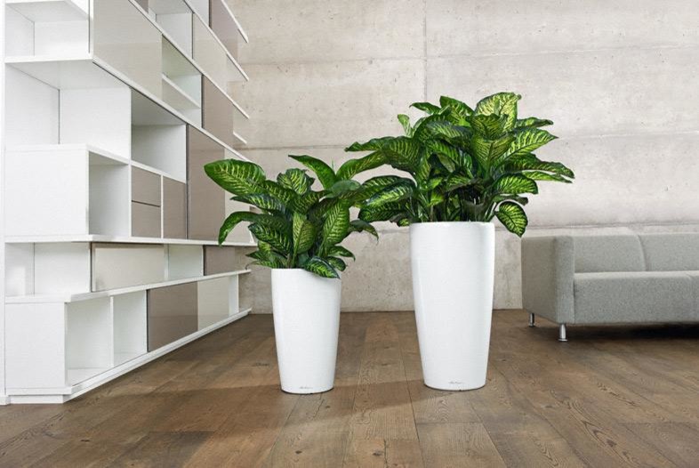 Уникальные и элегантные