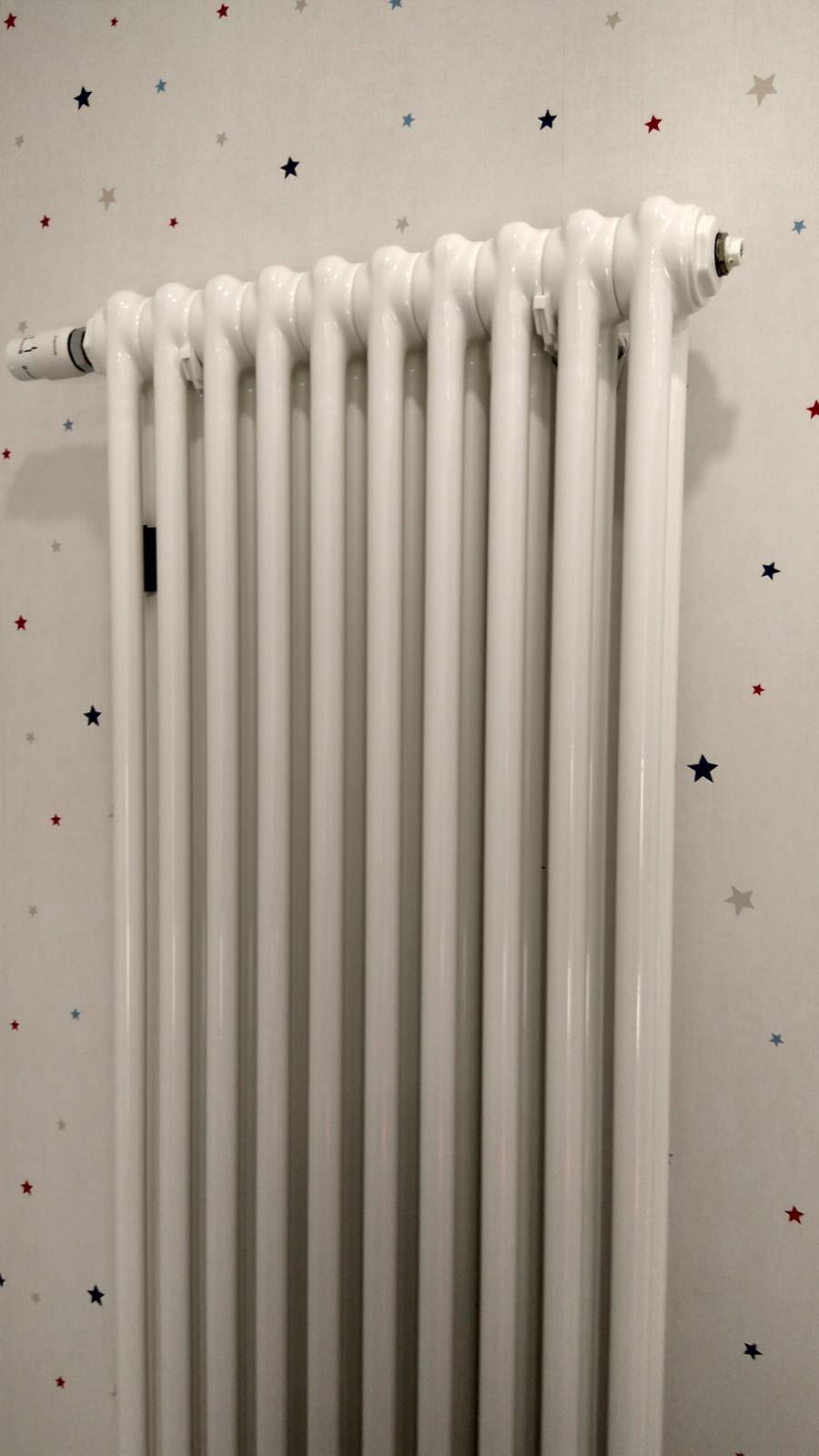 IMG_20190122_111845.jpeg