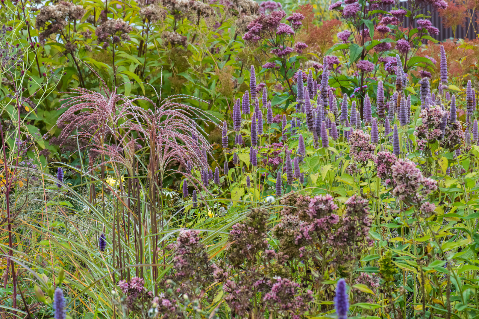 Большой сад в пригороде
