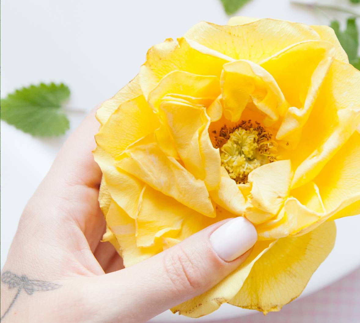 Как правильно: украсить десерт живой розой