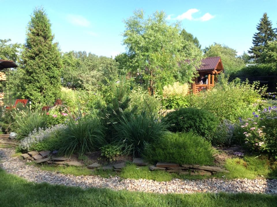 САДИК НА ЛАДОШКЕ 2016