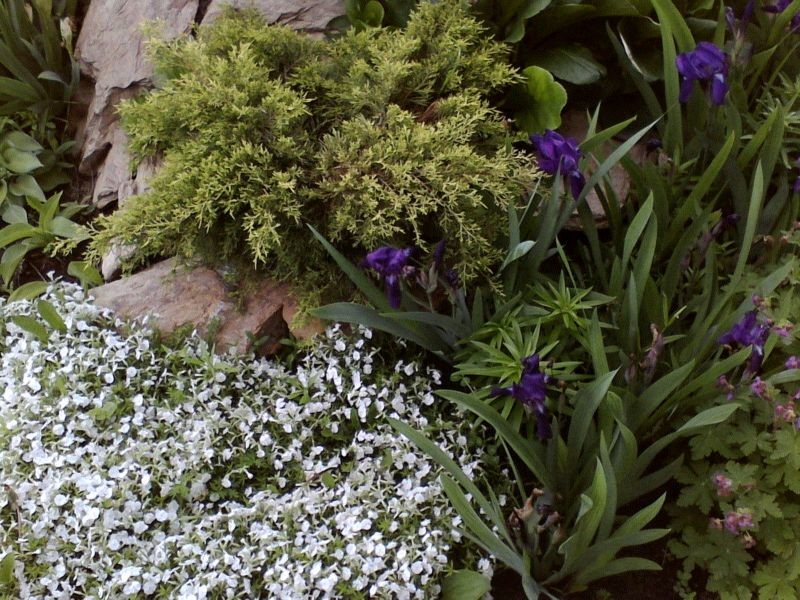 Миниатюрная декоративная композиция