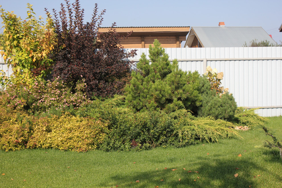 В гостях у Сказки